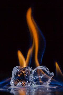 Vuur en ijs van Tessa Louwerens