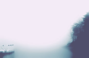 Mist 