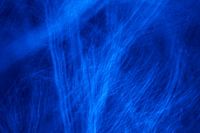 Blauwe bomen?