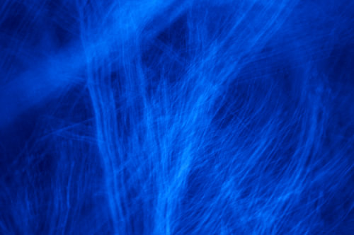 Blauwe bomen?