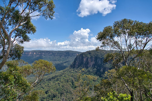 Uitzicht over de Jamison Valley