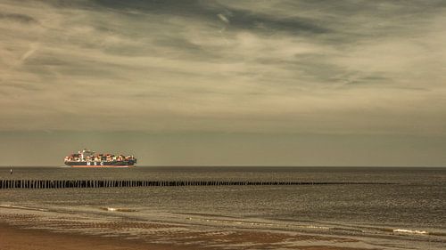 western Scheldt