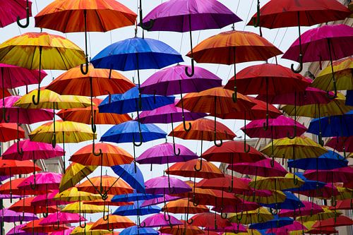 Fröhliche Regenschirme in allen Farben des Regenbogens