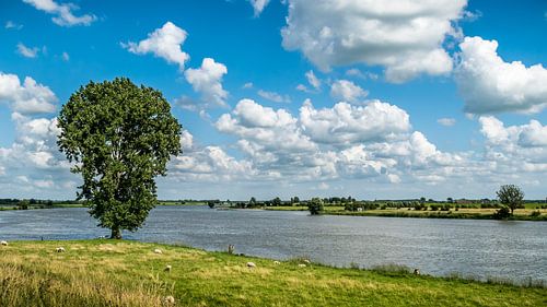 Au Lek près de Lopik