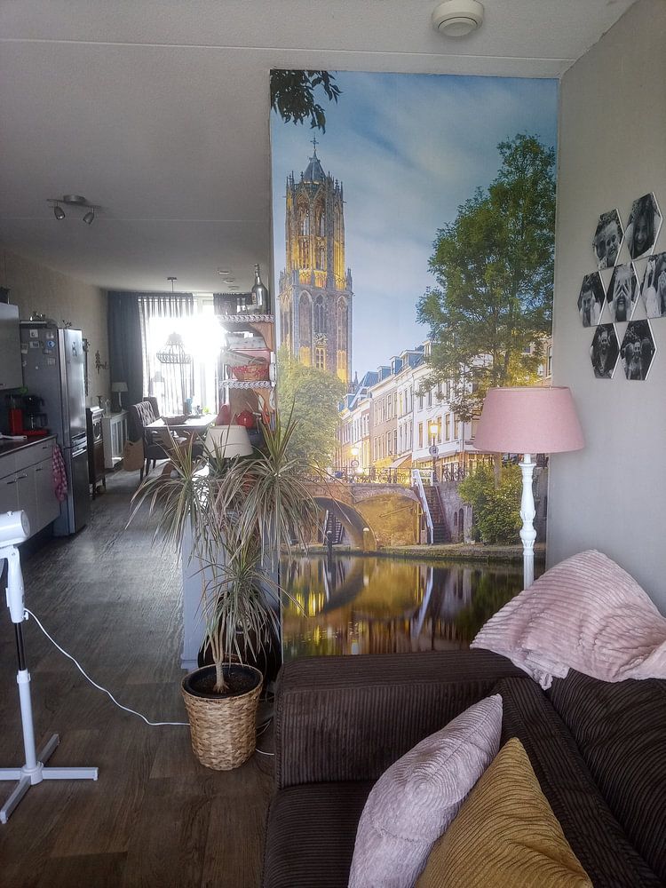 Utrecht - Mirrored Oudegracht  by Thomas van Galen 