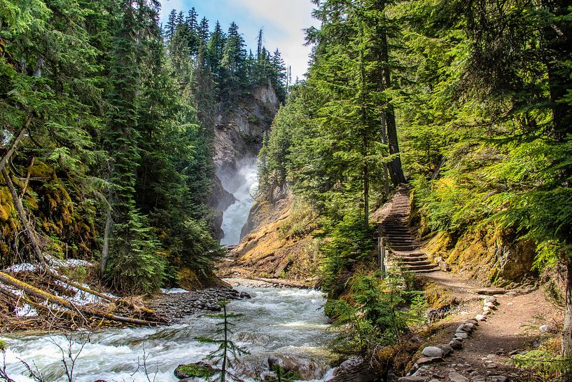 Path to the waterfall, Bear Creek Falls, Canada by Rietje Bulthuis