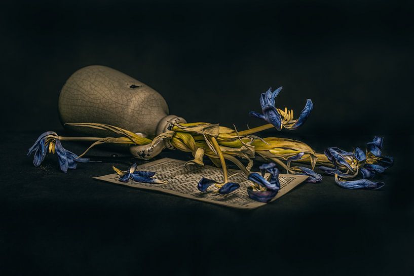 Accessibility by Anita van der Werff