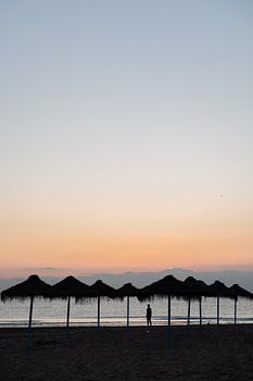 Sonnenaufgang in Valencia Spanien - tropisches Foto