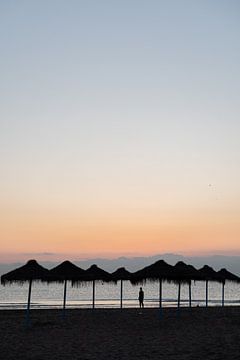 Lever de soleil à Valence Espagne - photo tropicale sur Lydia