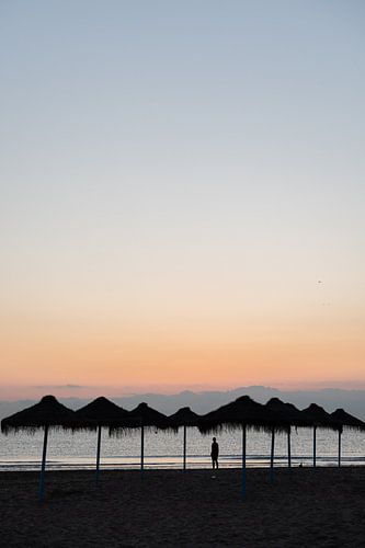 Sonnenaufgang in Valencia Spanien - tropisches Foto