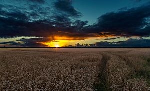 Ciel menaçant au-dessus d'un champ de blé. sur Marcel Kerdijk