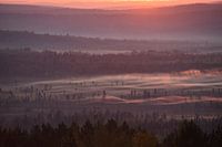 A mist on an autumn morning