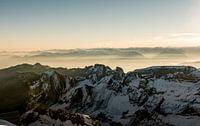 Alpine view
