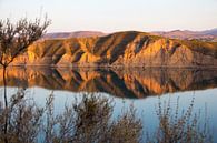 Reflections Embalse de Negratin van Cornelis (Cees) Cornelissen thumbnail