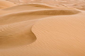 Dune de sable dans le désert | Dans le Sahara en Afrique
