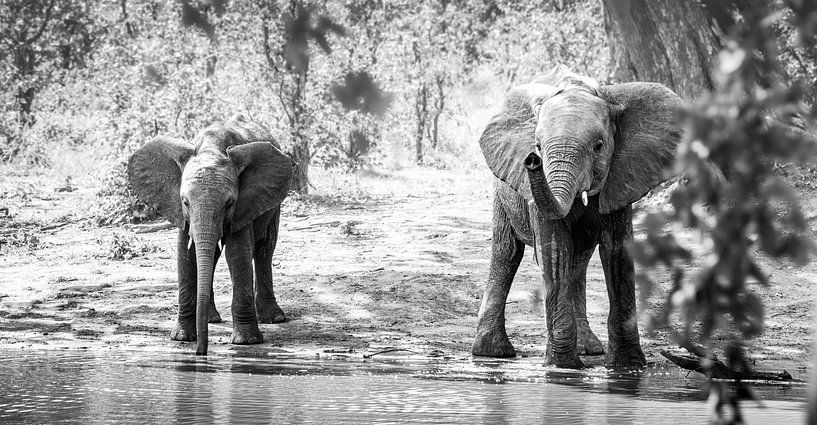 Together we are stronger, bring it on! by Marjolein Fortuin