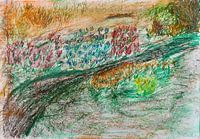 Spring meadow