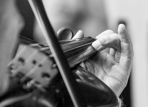 Den richtigen Akkord treffen