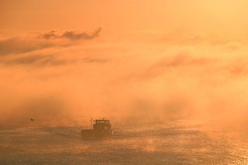 Aus dem Nebel