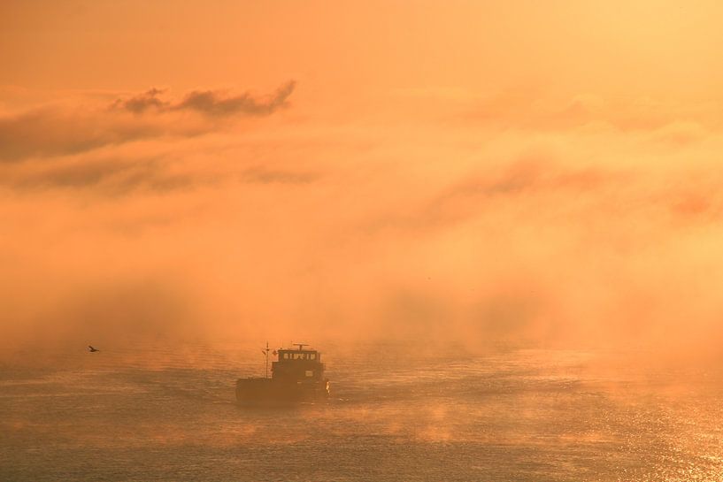 Aus dem Nebel von Patrick Teeling