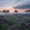 Sunrise over the purple heather by Raoul Baart