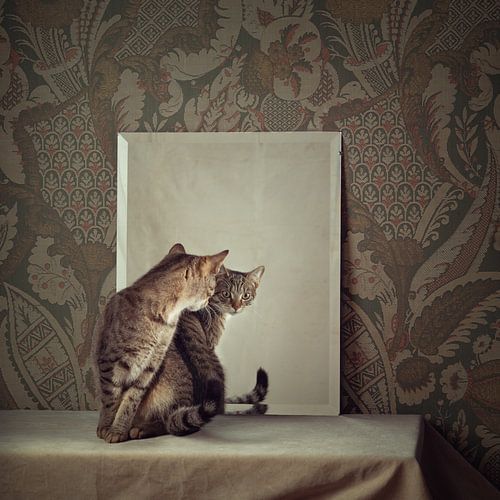 Cat behaviour series - Puss, am I? (version 1) by Mariska Vereijken