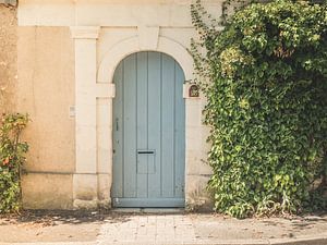 Alte Tür mit Kletteranlage in Frankreich