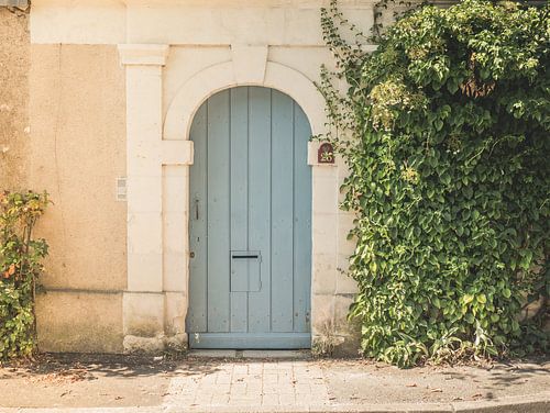 Oude Deur met Klimplant in Frankrijk