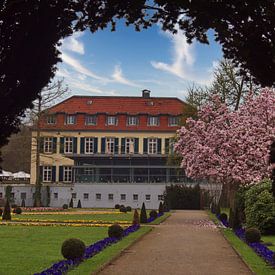 Uitzicht op de magnoliabloesem van Edgar Schermaul