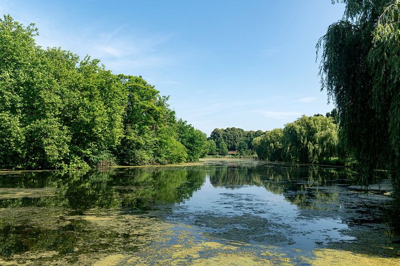 Diest van Richard Wareham