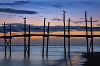 Sunrise on Texel