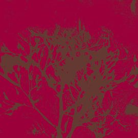 Abstrakte botanische Kunst. Organische Formen in Burgunderrot und Braun. von Dina Dankers