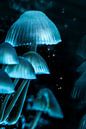Fantasy forest van FotoSynthese thumbnail