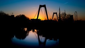 Willemsbrücke mit Sonnenuntergang von Prachtig Rotterdam