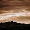 Hert onder donkere wolken, Amsterdamse Waterleidingduinen van Michiel de Bruin