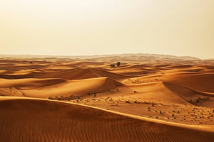 Dubai Wüste