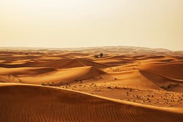 Dubai desert van Walljar