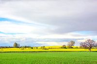 Lentelandschap