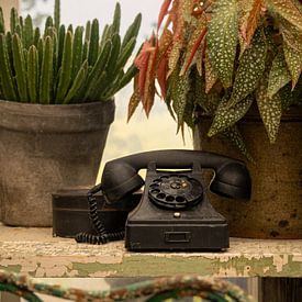 Stilleben, Green House schöne botanische Stil mit Vintage-Telefon von Oda Slofstra