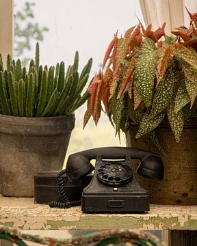 Stilleven, Green House mooie botanische stijl met vintage telefoon
