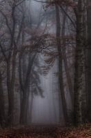 MYSTERIOUS 