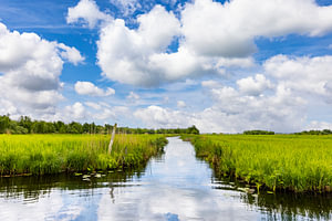Die Weerribben, National Park Weerribben-Wieden.