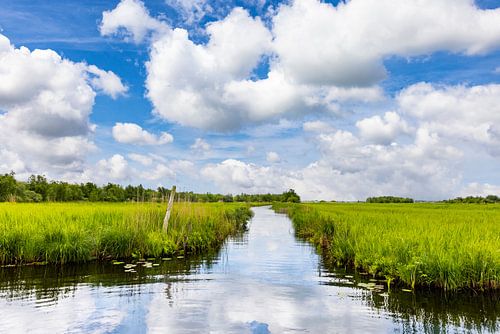 De Weerribben, Nationaal Park Weerribben-Wieden.