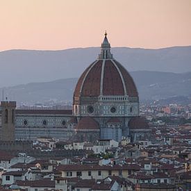 Cattedrale di Santa Maria del Fiore by Yvs Doh