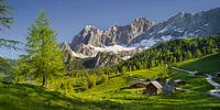 Alpine summer III