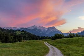 Evening walk