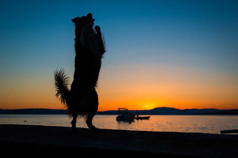 Fenna in Kroatië par Pieter Bezuijen