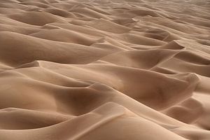 Mer de dunes dans le désert du Sahara sur Photolovers reisfotografie