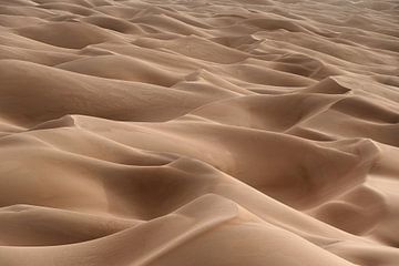 Mer de dunes dans le désert du Sahara