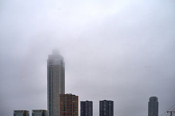 Skyline von Rotterdam